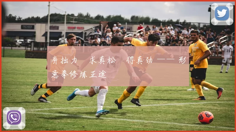 弃拙力・求真松・得真劲 —— 形意拳修炼正途