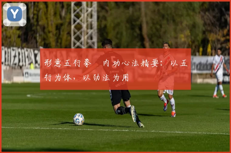 形意五行拳・内功心法精要:以五行为体,以劲法为用