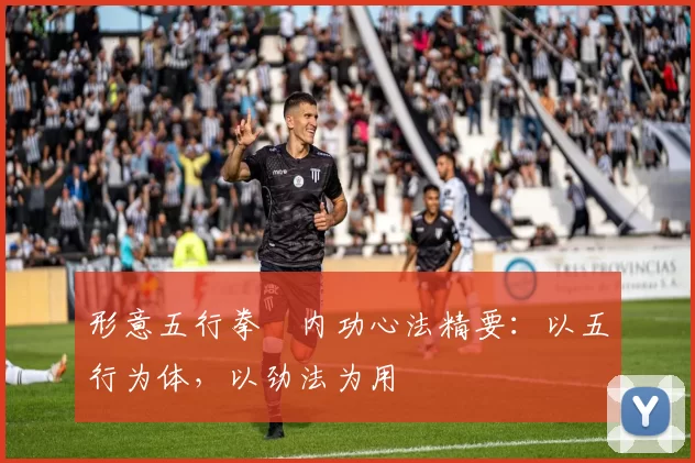 形意五行拳・内功心法精要:以五行为体,以劲法为用