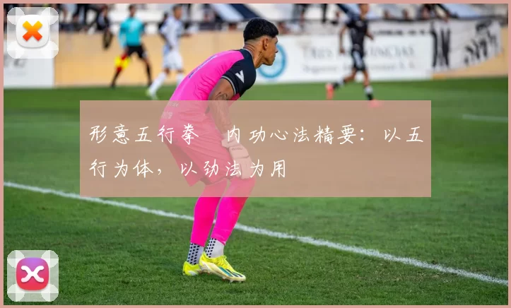 形意五行拳・内功心法精要：以五行为体，以劲法为用