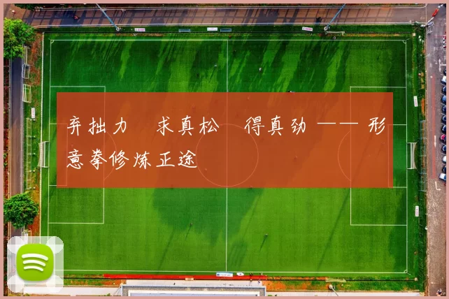 弃拙力・求真松・得真劲 —— 形意拳修炼正途