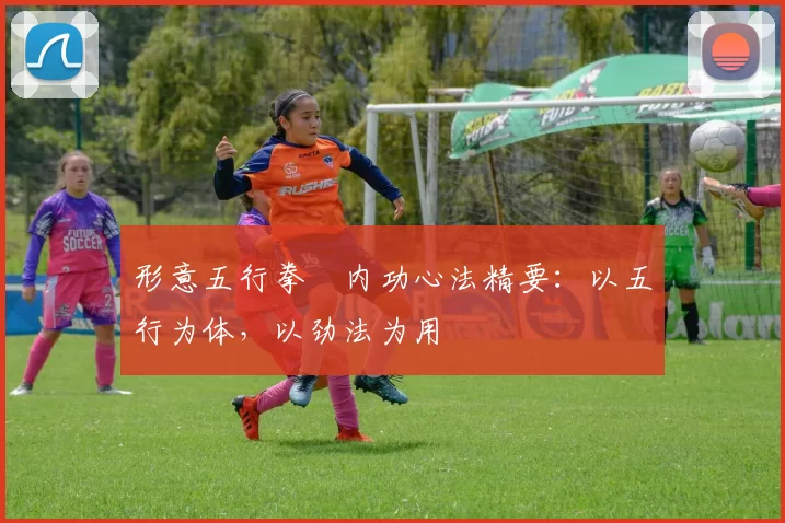 形意五行拳・内功心法精要：以五行为体，以劲法为用