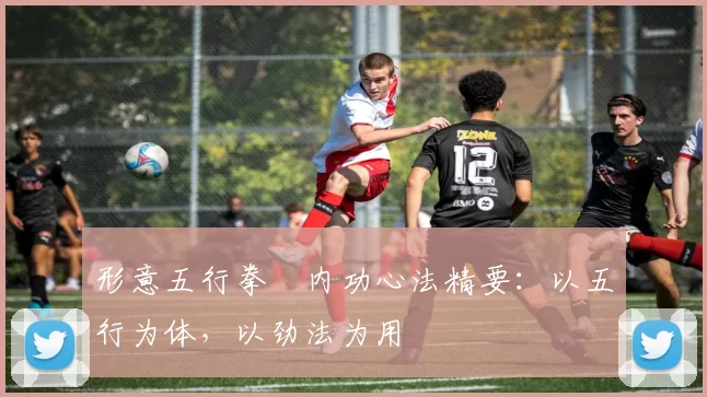 形意五行拳・内功心法精要：以五行为体，以劲法为用