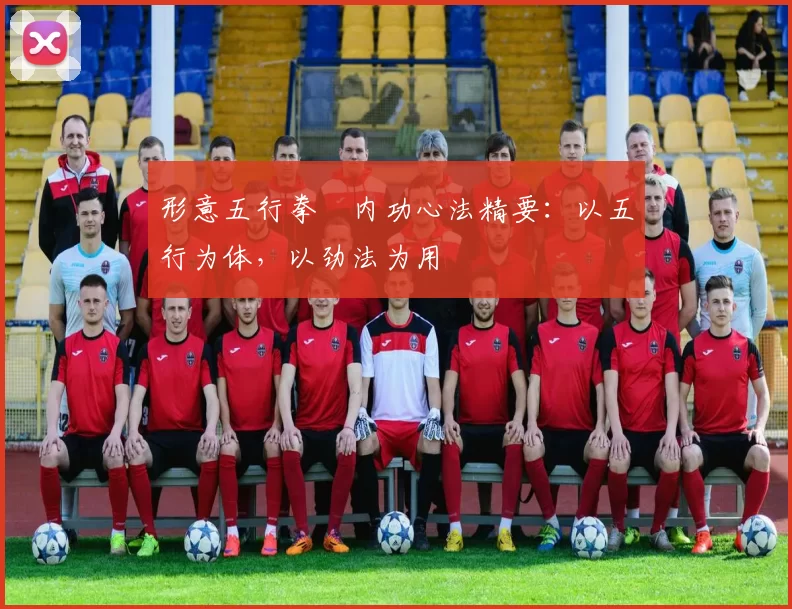 形意五行拳・内功心法精要：以五行为体，以劲法为用