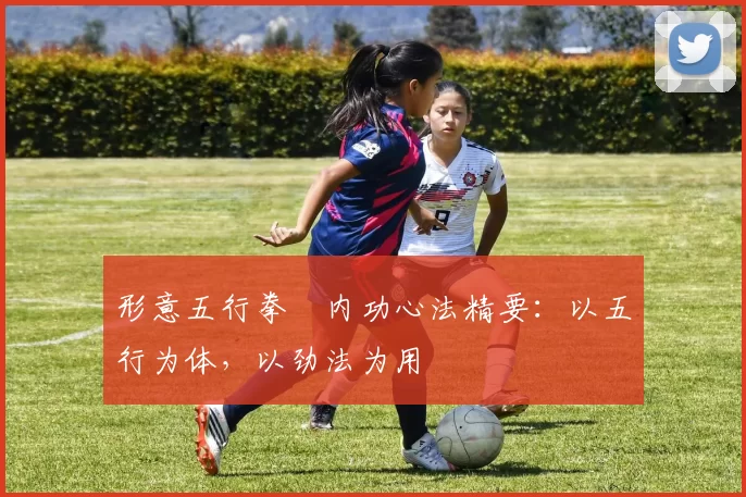 形意五行拳・内功心法精要:以五行为体,以劲法为用