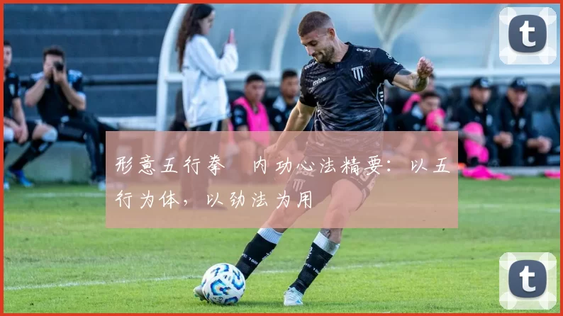 形意五行拳・内功心法精要：以五行为体，以劲法为用