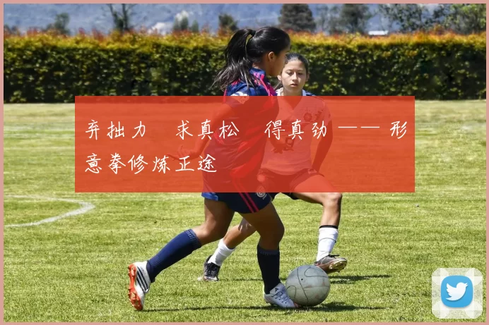 弃拙力・求真松・得真劲 —— 形意拳修炼正途