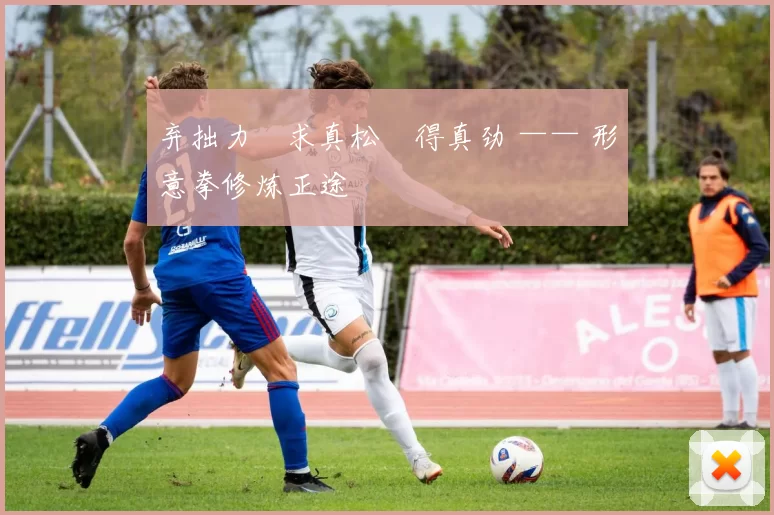 弃拙力・求真松・得真劲 —— 形意拳修炼正途