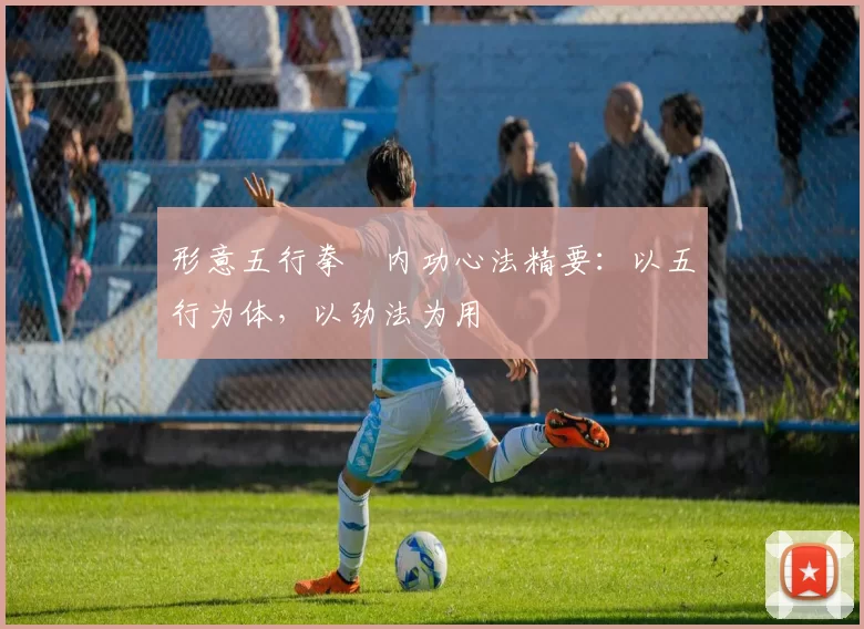 形意五行拳・内功心法精要：以五行为体，以劲法为用