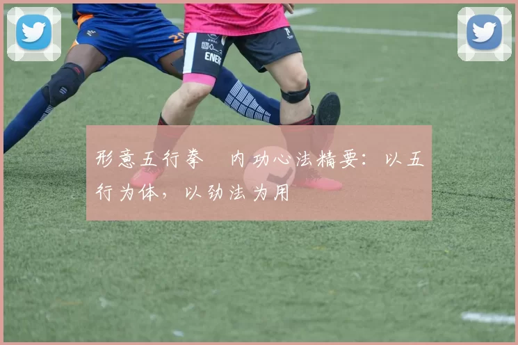 形意五行拳・内功心法精要：以五行为体，以劲法为用