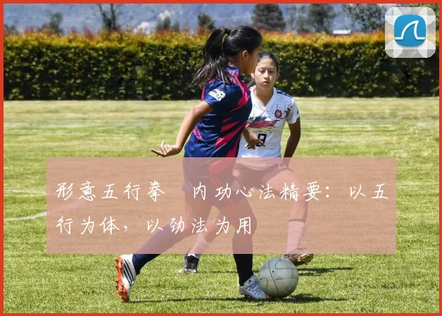 形意五行拳・内功心法精要:以五行为体,以劲法为用