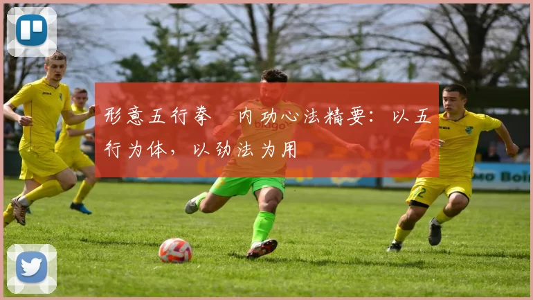 形意五行拳・内功心法精要：以五行为体，以劲法为用