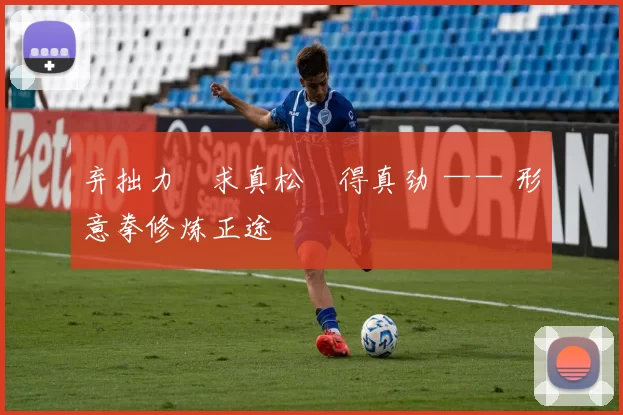 弃拙力・求真松・得真劲 —— 形意拳修炼正途