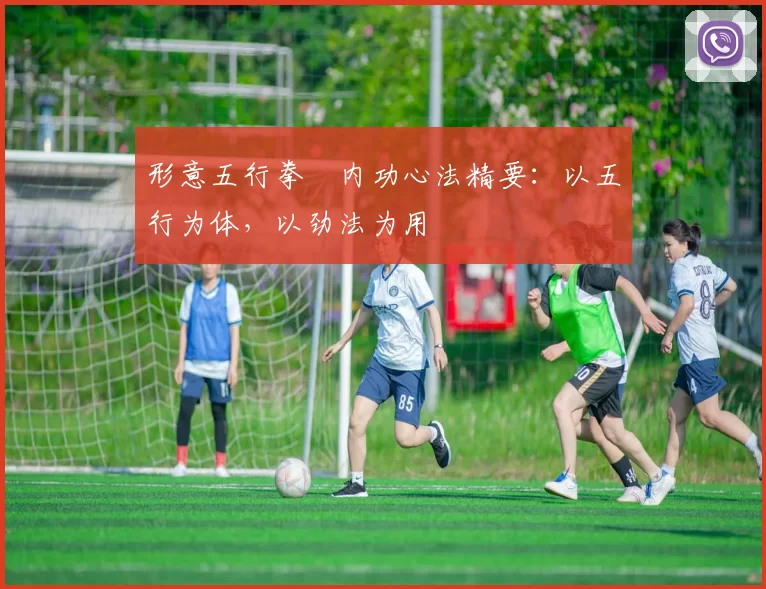 形意五行拳・内功心法精要:以五行为体,以劲法为用