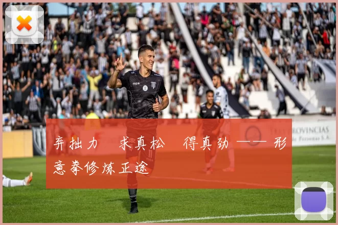 弃拙力・求真松・得真劲 —— 形意拳修炼正途