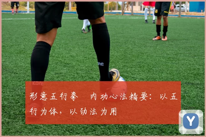 形意五行拳・内功心法精要：以五行为体，以劲法为用