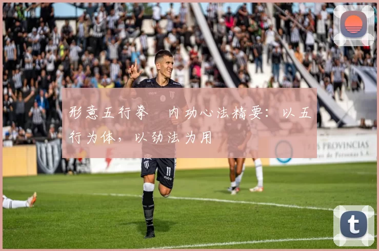 形意五行拳・内功心法精要：以五行为体，以劲法为用