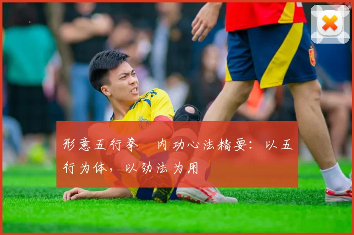 形意五行拳・内功心法精要：以五行为体，以劲法为用