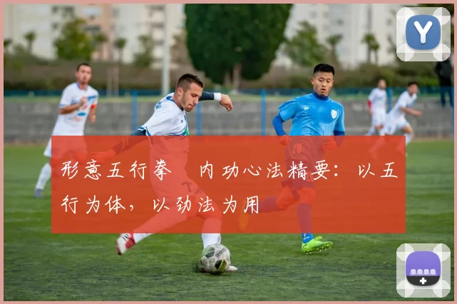 形意五行拳・内功心法精要:以五行为体,以劲法为用