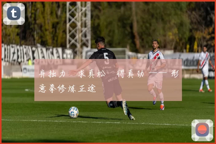 弃拙力・求真松・得真劲 —— 形意拳修炼正途