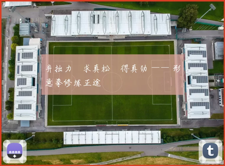 弃拙力・求真松・得真劲 —— 形意拳修炼正途