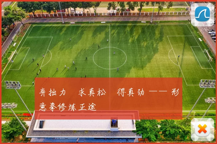 弃拙力・求真松・得真劲 —— 形意拳修炼正途