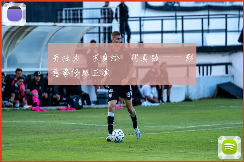 弃拙力・求真松・得真劲 —— 形意拳修炼正途