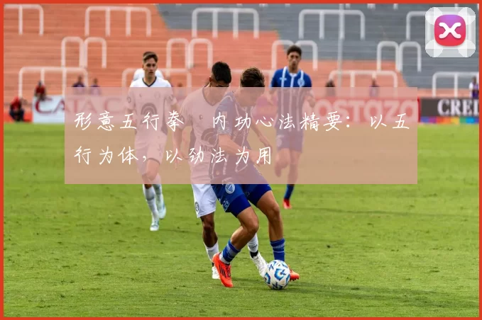 形意五行拳・内功心法精要:以五行为体,以劲法为用