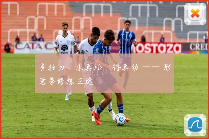 弃拙力・求真松・得真劲 —— 形意拳修炼正途