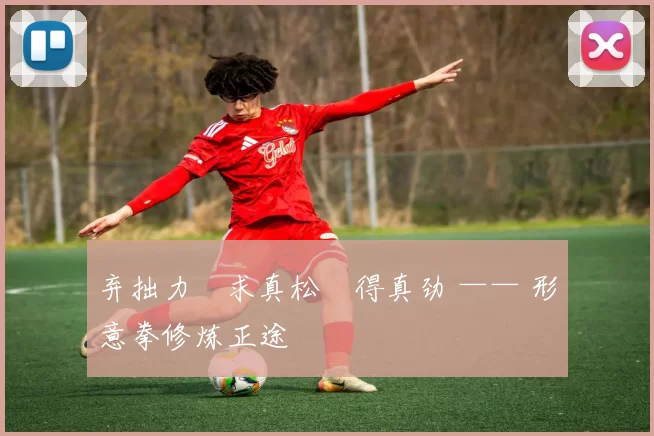 弃拙力・求真松・得真劲 —— 形意拳修炼正途