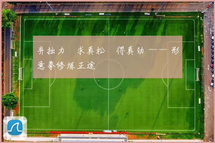 弃拙力・求真松・得真劲 —— 形意拳修炼正途