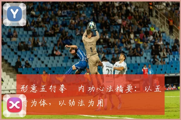 形意五行拳・内功心法精要：以五行为体，以劲法为用