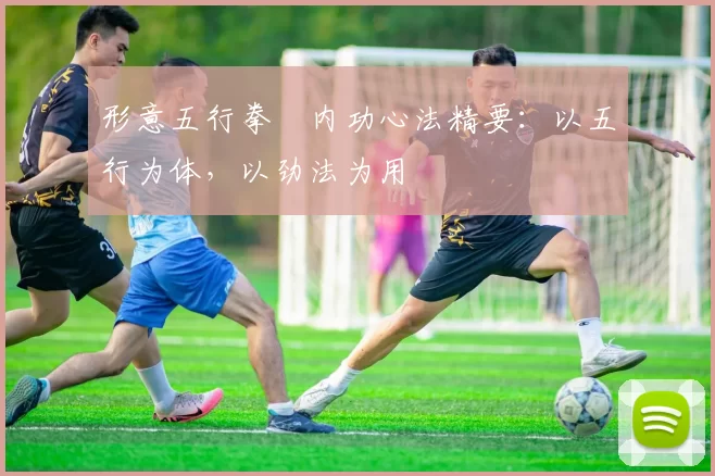 形意五行拳・内功心法精要：以五行为体，以劲法为用