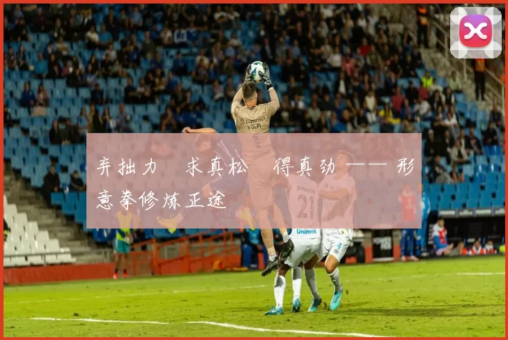 弃拙力・求真松・得真劲 —— 形意拳修炼正途