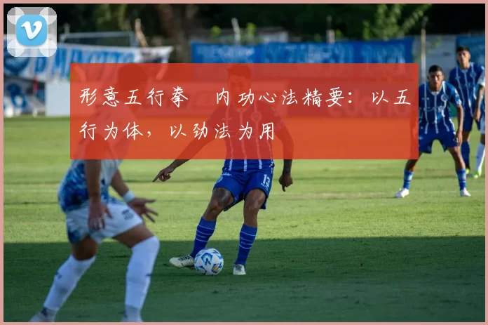 形意五行拳・内功心法精要:以五行为体,以劲法为用