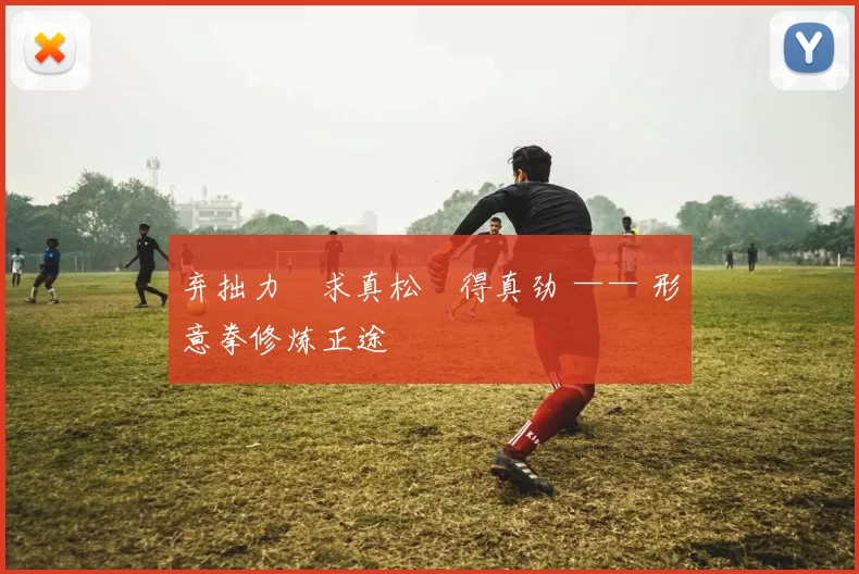 弃拙力・求真松・得真劲 —— 形意拳修炼正途