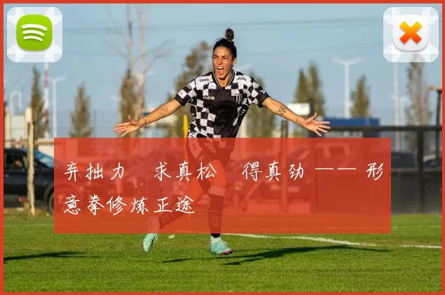 弃拙力・求真松・得真劲 —— 形意拳修炼正途