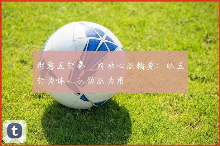 形意五行拳・内功心法精要：以五行为体，以劲法为用