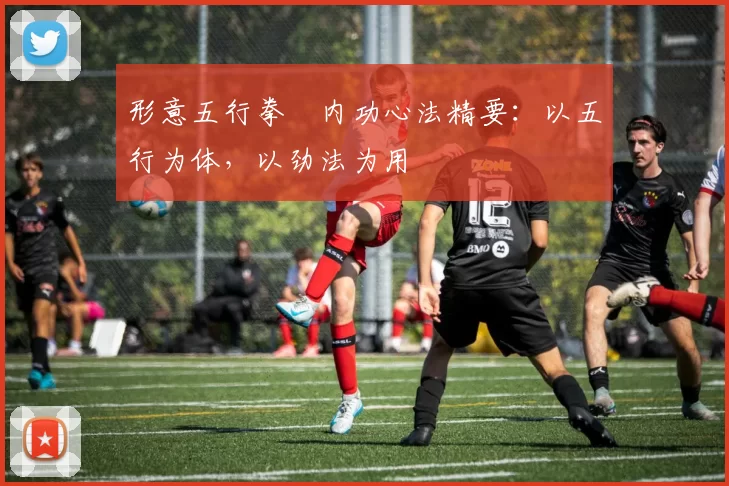 形意五行拳・内功心法精要：以五行为体，以劲法为用