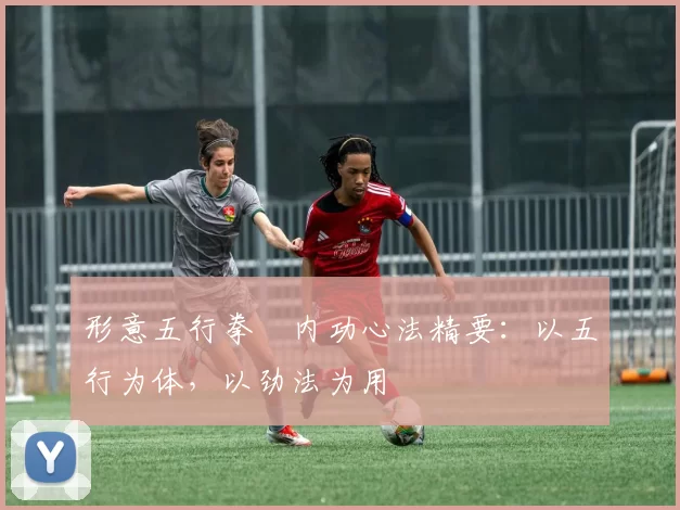 形意五行拳・内功心法精要:以五行为体,以劲法为用