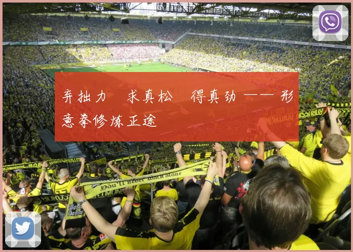 弃拙力・求真松・得真劲 —— 形意拳修炼正途