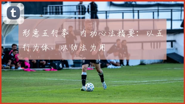 形意五行拳・内功心法精要：以五行为体，以劲法为用