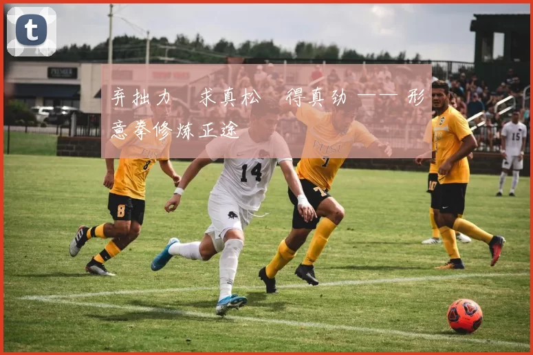 弃拙力・求真松・得真劲 —— 形意拳修炼正途