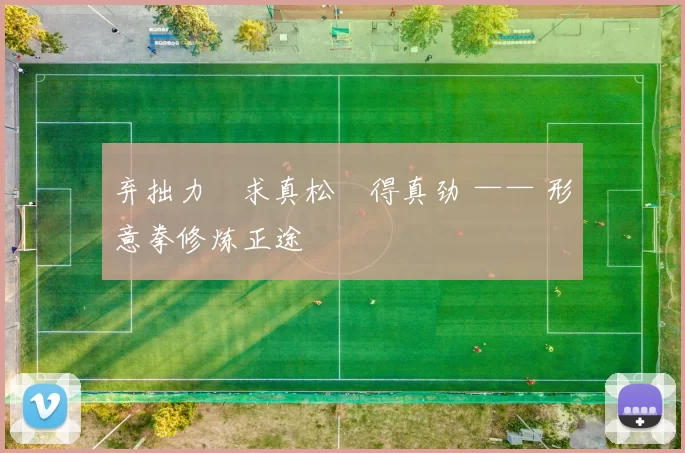 弃拙力・求真松・得真劲 —— 形意拳修炼正途