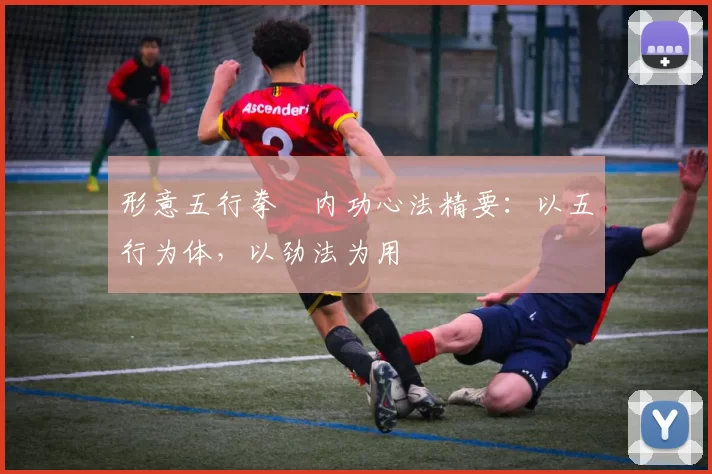 形意五行拳・内功心法精要:以五行为体,以劲法为用