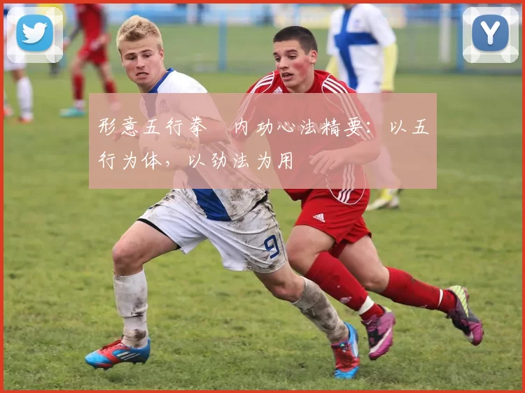 形意五行拳・内功心法精要：以五行为体，以劲法为用