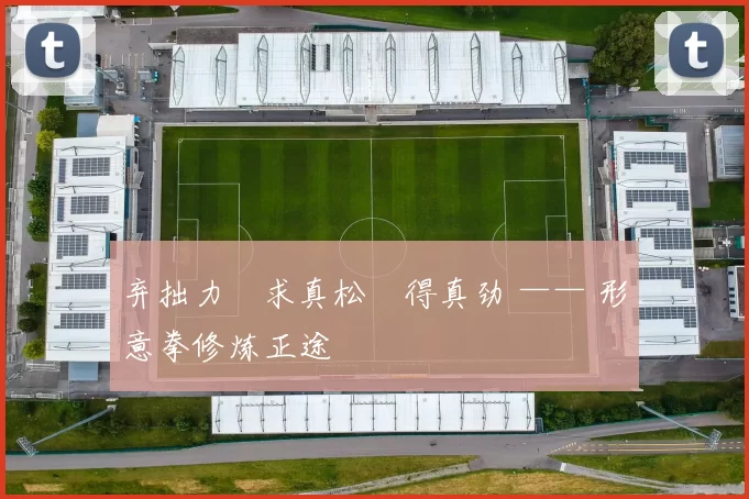 弃拙力・求真松・得真劲 —— 形意拳修炼正途