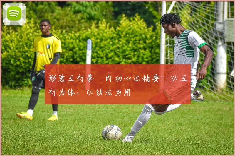 形意五行拳・内功心法精要：以五行为体，以劲法为用