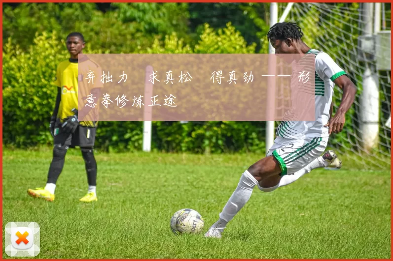 弃拙力・求真松・得真劲 —— 形意拳修炼正途