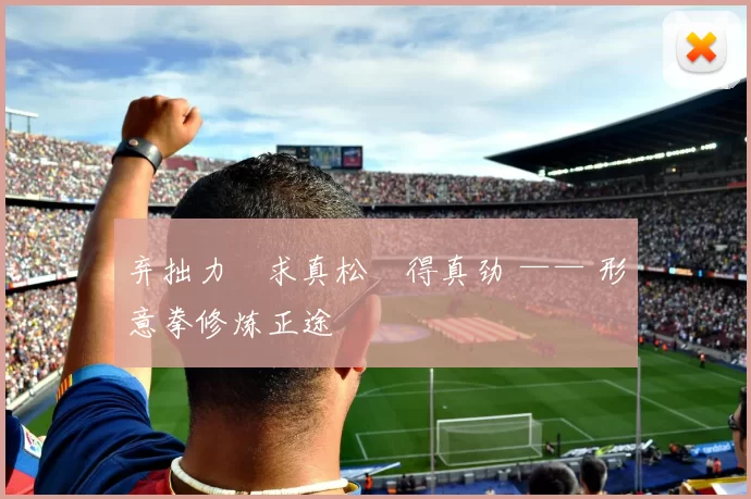 弃拙力・求真松・得真劲 —— 形意拳修炼正途